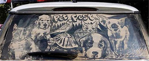 Very Interesting Dirty Car Art!